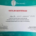 Resmi büyüt: certificate 23