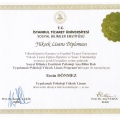 Resmi büyüt: certificate 2