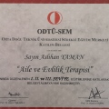 Resmi büyüt: certificate 3