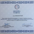 Resmi büyüt: certificate 10
