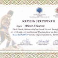 Resmi büyüt: certificate 15