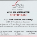 Resmi büyüt: certificate 2