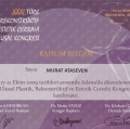 Resmi büyüt: certificate 28