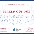 Resmi büyüt: certificate 11