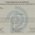 Resmi büyüt: certificate 7