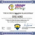 Resmi büyüt: certificate 17