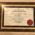 Resmi büyüt: certificate 2