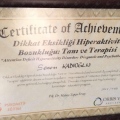 Resmi büyüt: certificate 3