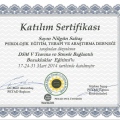 Resmi büyüt: certificate 6