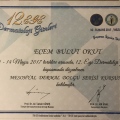 Resmi büyüt: certificate 9