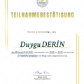 Resmi büyüt: certificate 19
