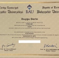 Resmi büyüt: certificate 3