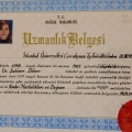 Resmi büyüt: certificate 3