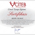 Resmi büyüt: certificate 13