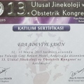 Resmi büyüt: certificate 1