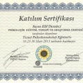 Resmi büyüt: certificate 16