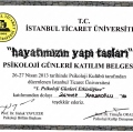 Resmi büyüt: certificate 29