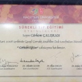 Resmi büyüt: certificate 5