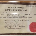 Resmi büyüt: certificate 4