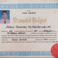Resmi büyüt: certificate 15