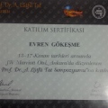 Resmi büyüt: certificate 3