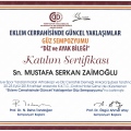 Resmi büyüt: certificate 43