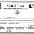 Resmi büyüt: certificate 3