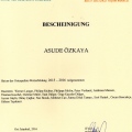 Resmi büyüt: certificate 1