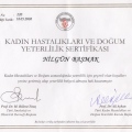 Resmi büyüt: certificate 1