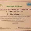 Resmi büyüt: certificate 13