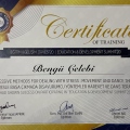 Resmi büyüt: certificate 3