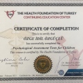 Resmi büyüt: certificate 2
