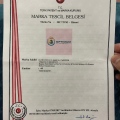 Resmi büyüt: certificate 9