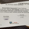 Resmi büyüt: certificate 16