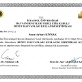 Resmi büyüt: certificate 4