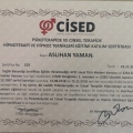 Resmi büyüt: certificate 7