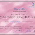 Resmi büyüt: certificate 11