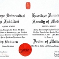 Resmi büyüt: certificate 3