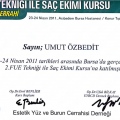 Resmi büyüt: certificate 22