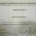 Resmi büyüt: certificate 1