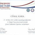 Resmi büyüt: certificate 13