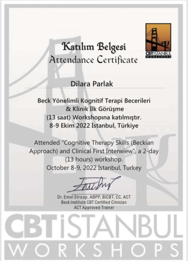 Dilara Parlak Tokat-4