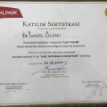 Resmi büyüt: certificate 6