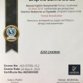 Resmi büyüt: certificate 22