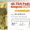 Resmi büyüt: certificate 19