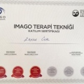 Resmi büyüt: certificate 8