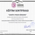 Resmi büyüt: certificate 2
