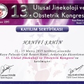 Resmi büyüt: certificate 1