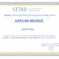 Resmi büyüt: certificate 1