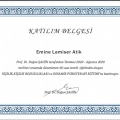Resmi büyüt: certificate 2